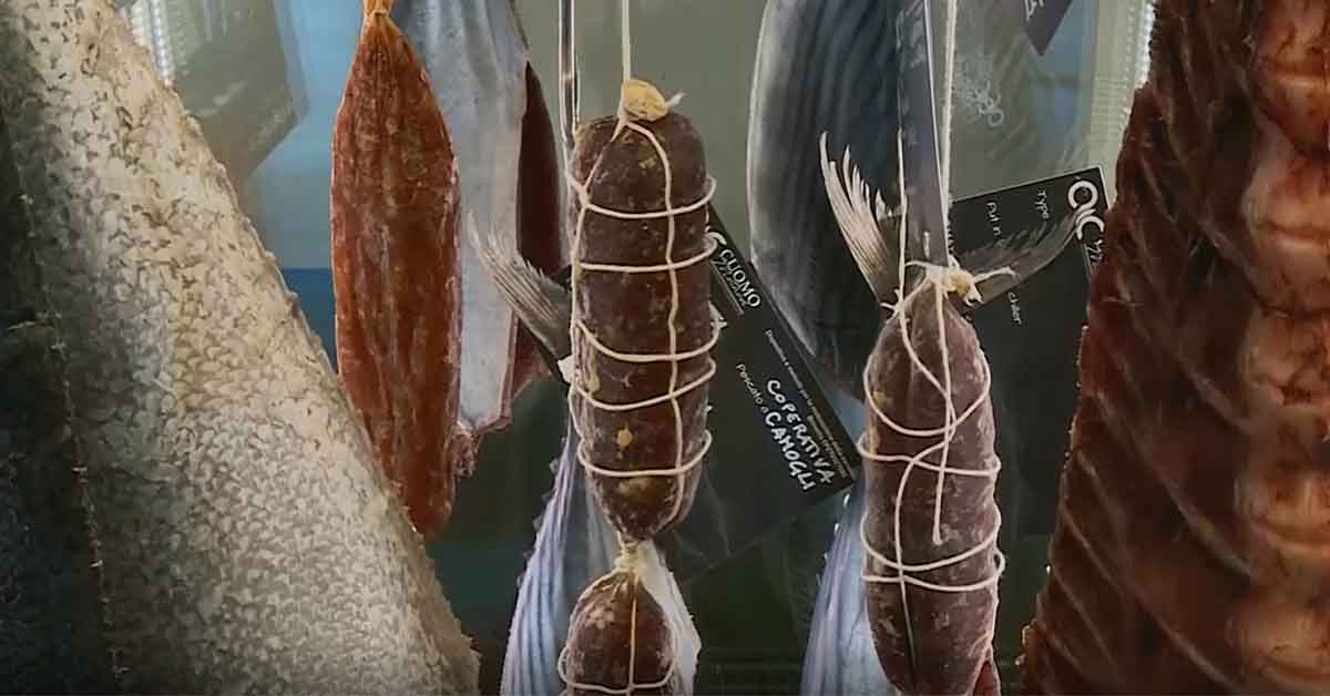 sealumi2